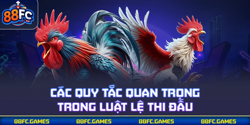 88FC chia sẻ các quy tắc trong luật lệ thi đấu